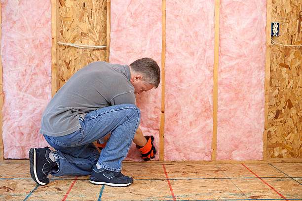 Best Types of Insulation in Kechi, KS